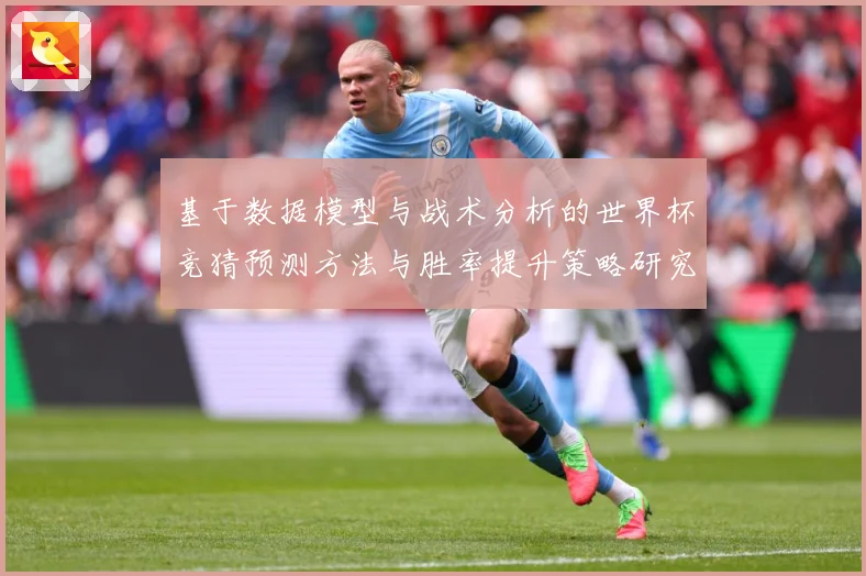 基于数据模型与战术分析的世界杯竞猜预测方法与胜率提升策略研究数据研判