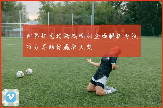 世界杯竞猜游戏规则全面解析与技巧分享助你赢取大奖
