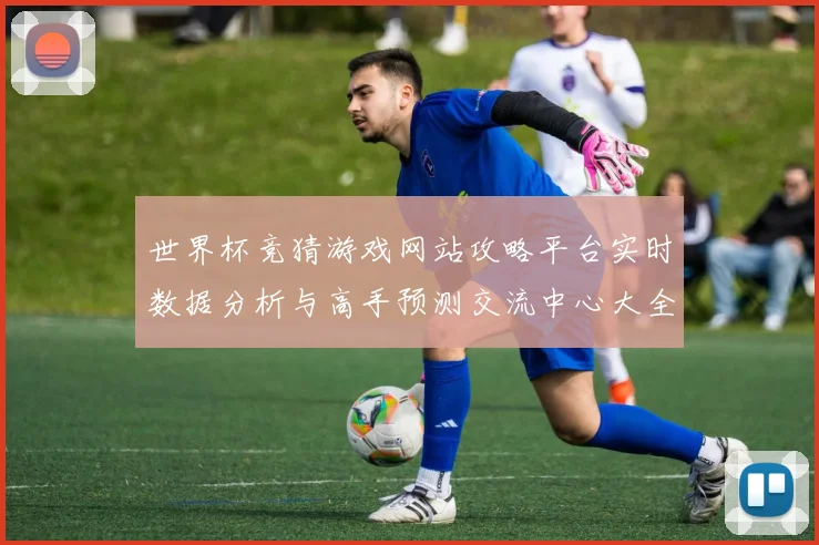 世界杯竞猜游戏网站攻略平台实时数据分析与高手预测交流中心大全