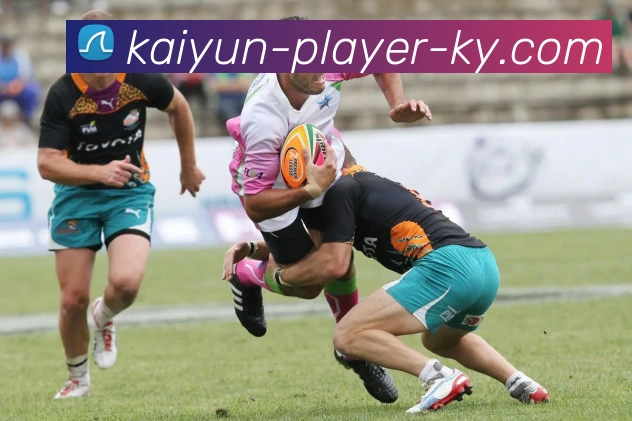 开云平台生态图