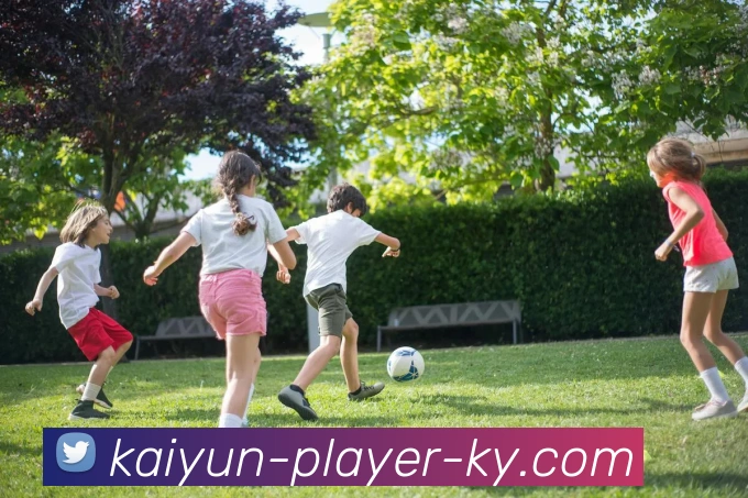 开云APP 高清赛事图